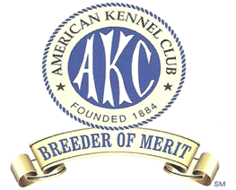 Akc Breeder 