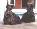 Click to see an enlarged version of Millie and Daughter!