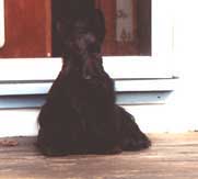 Click to see an enlarged version of Millie!