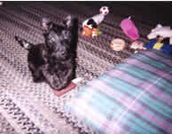 Click for an enlarged version!