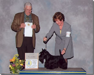Ch. Diascotts Skyes the Limit Group Placing